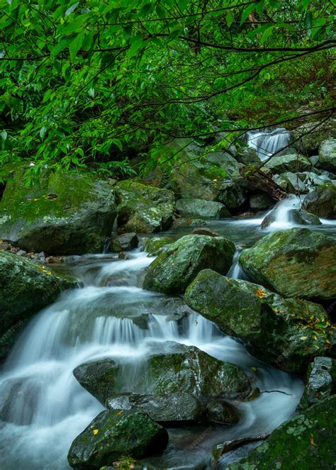Streams .